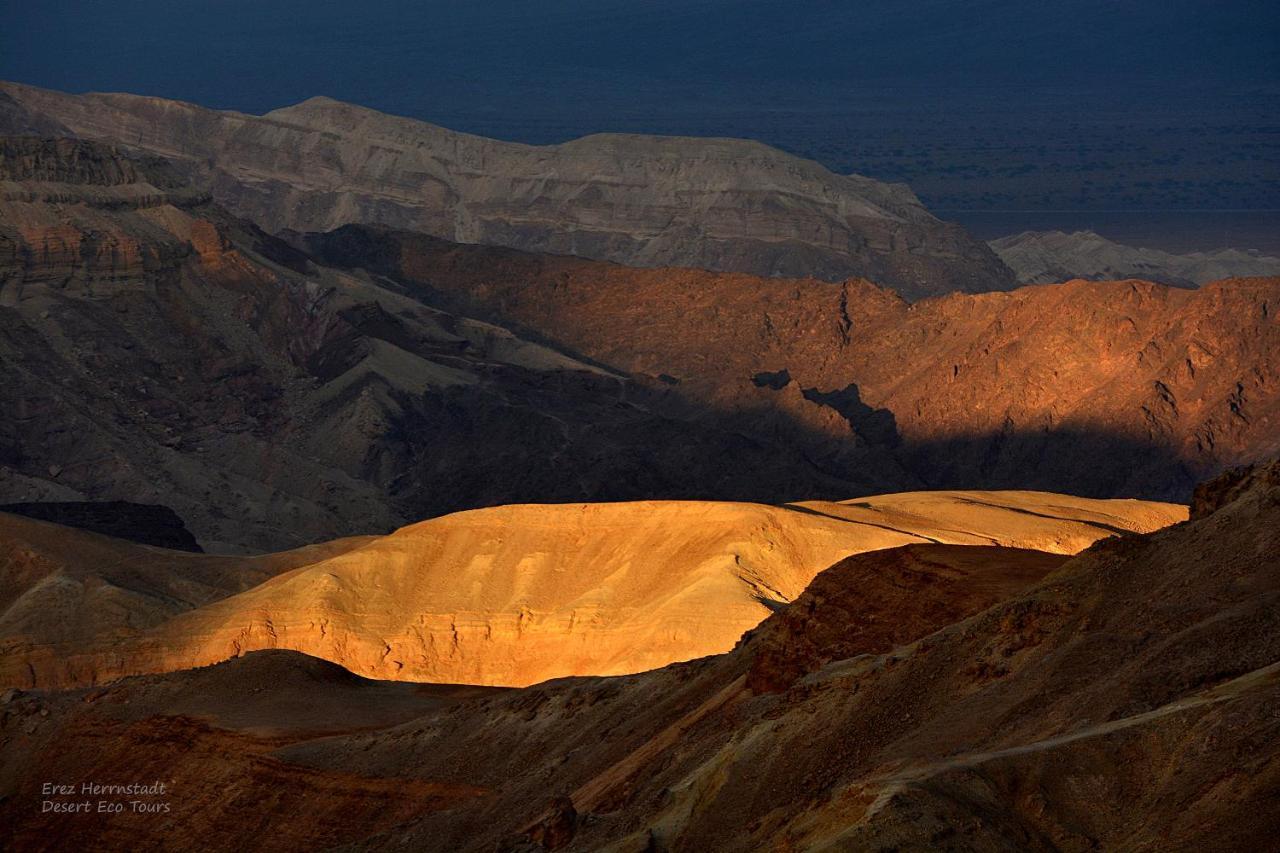דאוס האוס - דירות אירוח מודרניות ושקטות Eilat Exterior foto